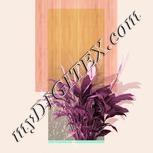 Colour:J