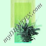 Colour:K