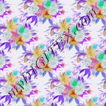 Colour:B