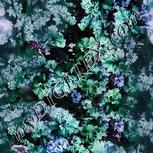 Colour:C