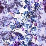 Colour:F