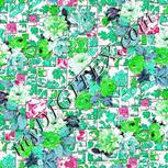 Colour:C