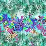 Colour:C