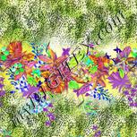 Colour:D