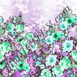 Colour:C