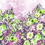 Colour:D