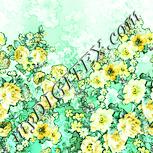 Colour:K