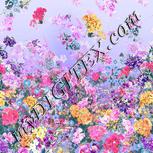 Colour:A