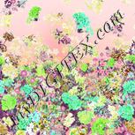 Colour:C