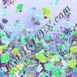 Colour:D