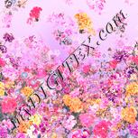 Colour:J