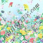 Colour:K