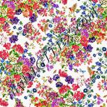 Colour:A