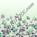 Colour:C
