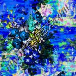 Colour:F