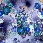 Colour:F