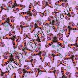 Colour:B