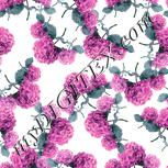 Colour:C