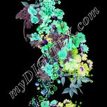 Colour:C