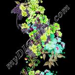 Colour:D
