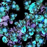 Colour:F