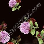 Colour:A