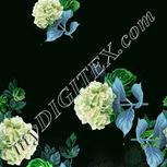 Colour:C
