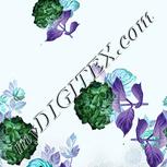 Colour:F