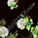 Colour:K