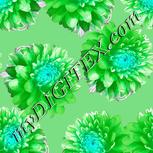 Colour:C