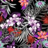 Colour:B