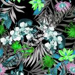 Colour:C