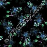 Colour:F