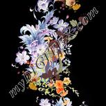Colour:A
