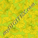 Colour:J