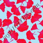 Colour:B