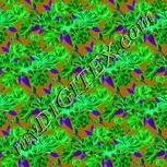 Colour:F