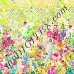 Colour:A