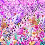 Colour:B