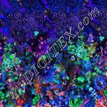 Colour:F