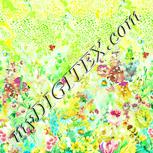 Colour:K