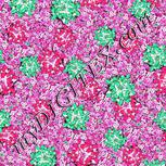 Colour:B