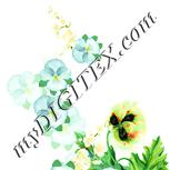 Colour:K