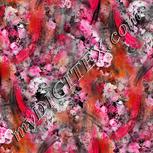 Colour:B