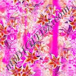 Colour:B