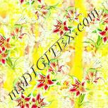 Colour:K