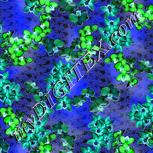Colour:F