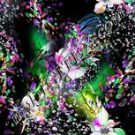 Colour:B