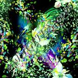 Colour:K