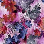 Colour:B